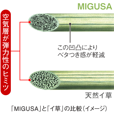 図:「MIGUSA」と「イグサ」の比較